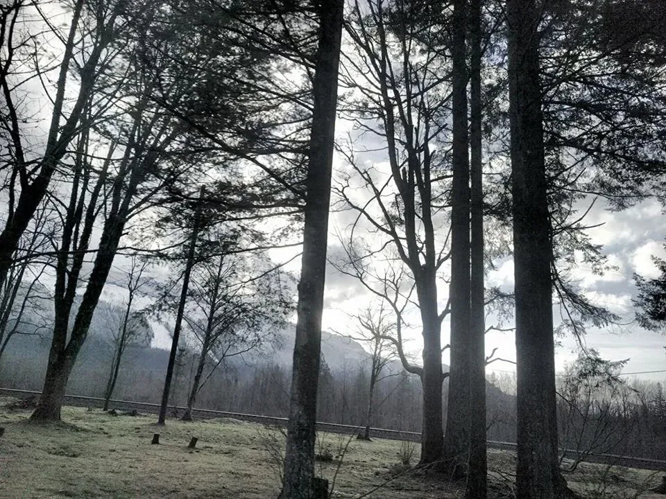Come Winter - The Season of Mysticism and Melancholy